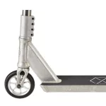 Native Stem L Roller - Raw