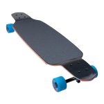 Santa Cruz Decoder Roskopp Drop Thru 37.52" Longboard