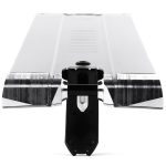 Ethic DTC Lindworm V4 560 x 160mm Boxed Deck - Raw