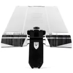 Ethic DTC Lindworm V4 600 x 160mm Boxed Lap - Raw