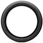 Saltplus Sting Tire 20" 2.4" - Black