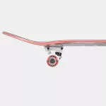 Birdhouse Hawk Falcon 4 Kit 8.25" Skateboard