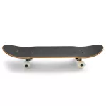 Birdhouse Stage 1 Chicken Oversized 7.375" Skateboard