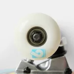 Birdhouse Stage 1 Chicken Oversized 7.375" Skateboard