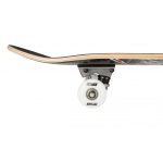 Tony Hawk 180 Series 7.75" Skateboard - Outrun