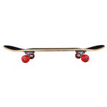 Tony Hawk 180 Series 7.75" Skateboard - Golden Hawk