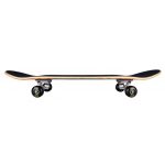 Tony Hawk 180 Series 7.75" Skateboard - Shatter Logo