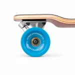 D Street Drop Down 39.5" Longboard - Hawaiian Blue Red