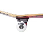 Rocket BLOCCHI Mini Skateboard completo-Multi 7.5" 