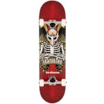 Birdhouse Stage 1 TH Icon 8" Skateboard