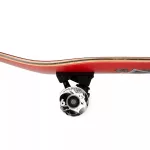 Birdhouse Stage 3 Hawk Skull 2 8.25" Skateboard
