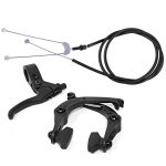 Sunday BMX Forecaster 20" - Berett Silva Signature