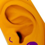 Street Surfing Street Skate 31" Gördeszka - Shout Out