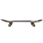 Street Surfing Street Skate 31" Skateboard - Shark Fire